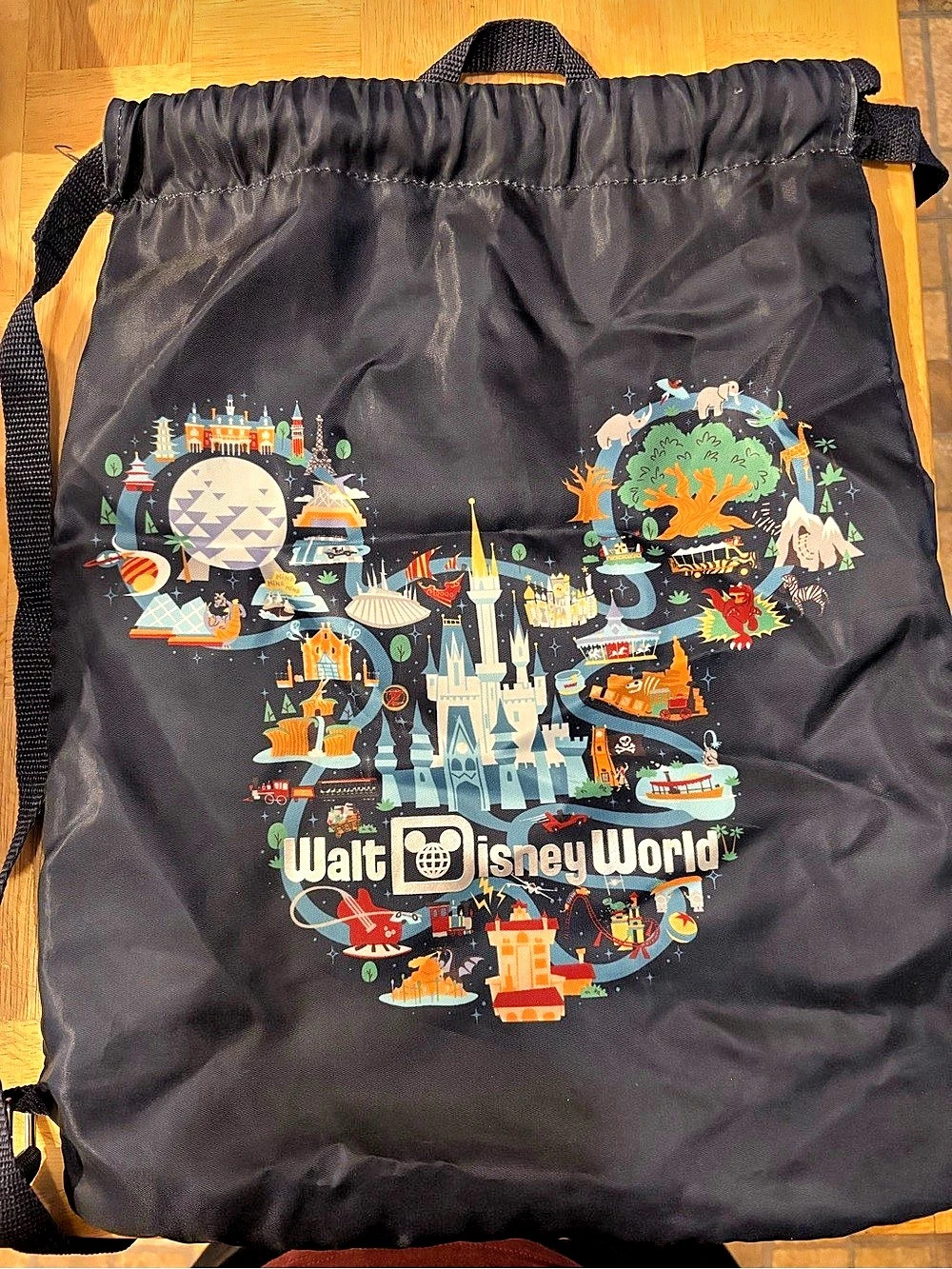 Walt Disney World Park Icons Mickey Mouse Cinch Bag